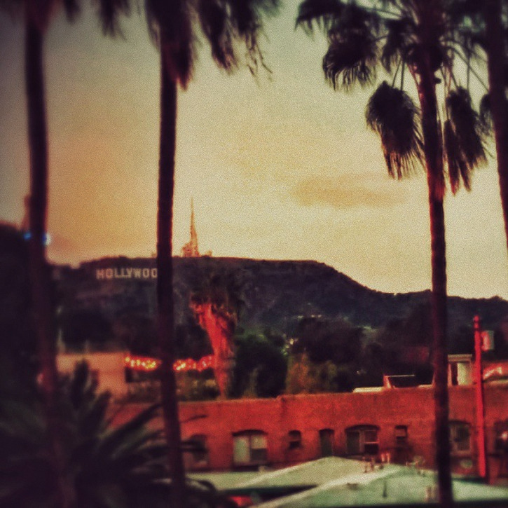 Hollywood Hills and palm trees in Los Angeles